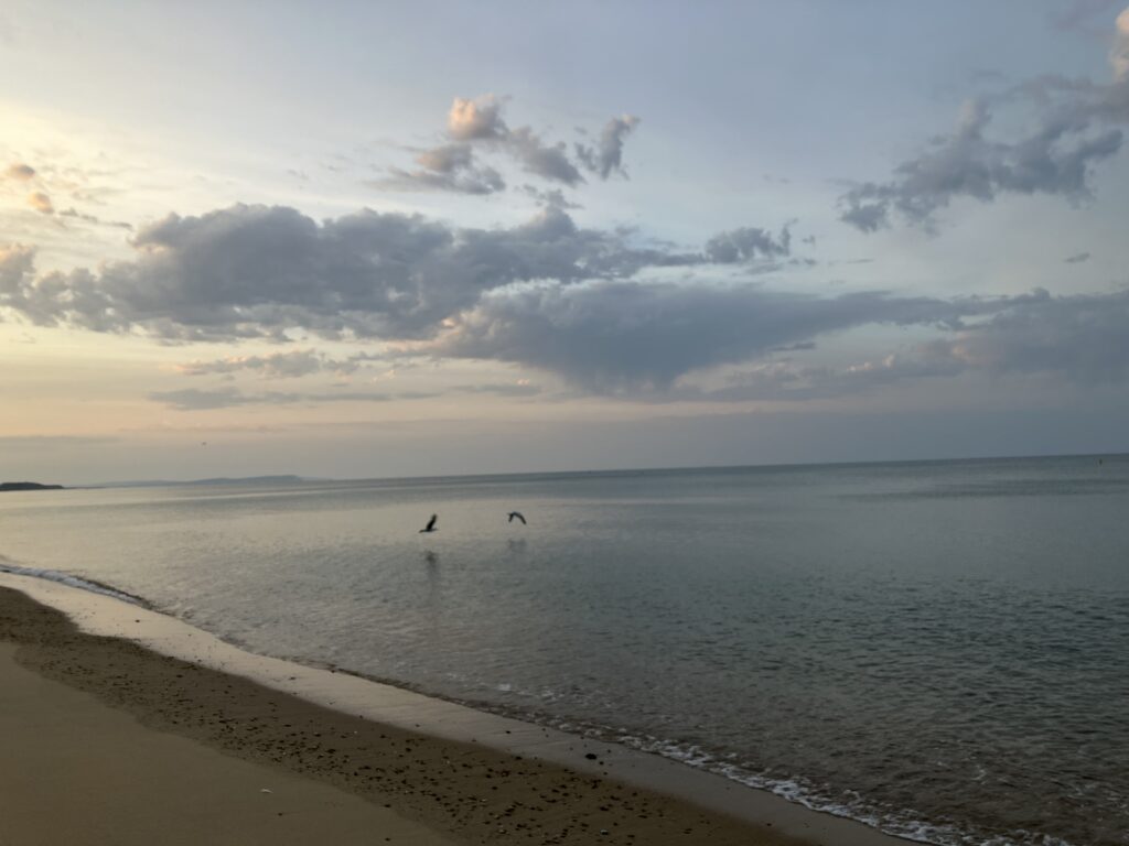 Möwen über dem Meer